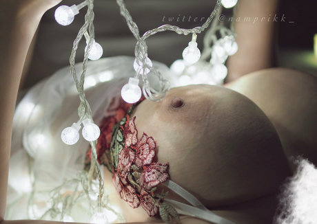 Npxvip sexe de star du porno des photos