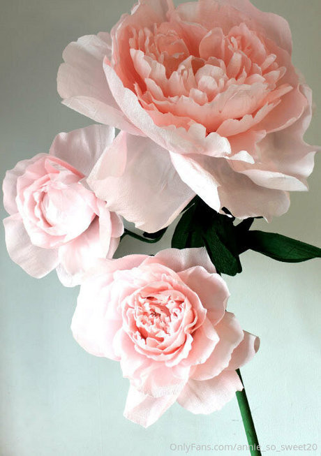 maman latine onlyfans plutôt sexy image