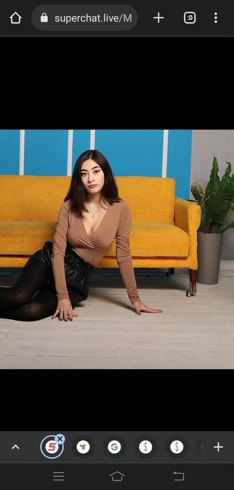 malimay modèle meilleur images