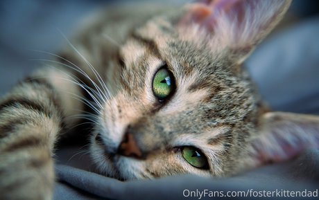 filles emo onlyfans chaud nu images