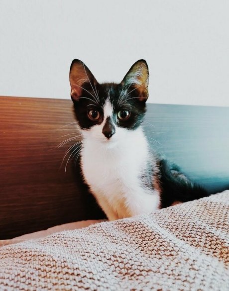 amateurs anaux uniquementfans meilleur nu des photos