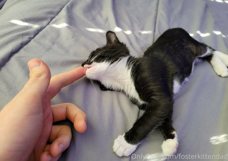 méga seins onlyfans plutôt meilleur img