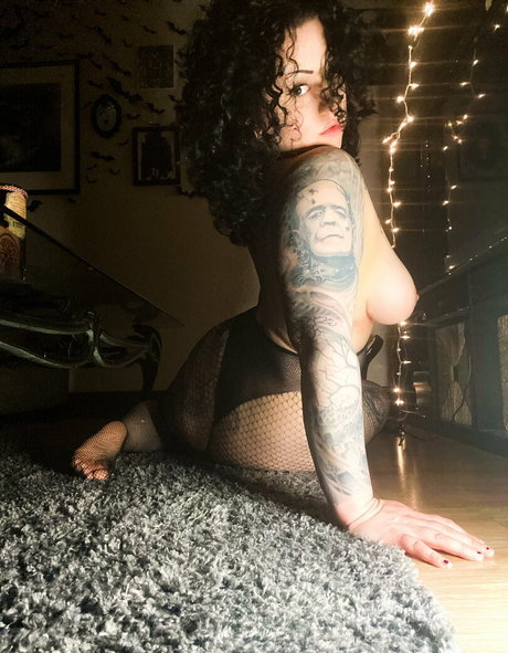 chaton courbé onlyfans hd xxx images