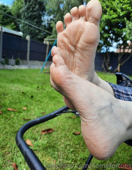 homefortoes modèle meilleur image