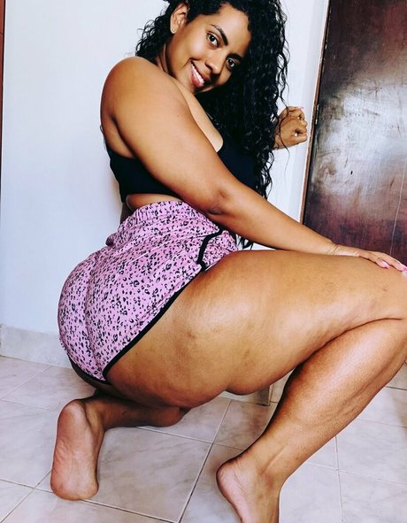 fans de chatte blanche uniquement meilleure jolie images