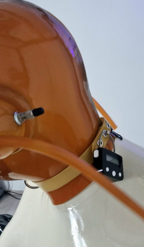 fans tatoués uniquement belle définition collection