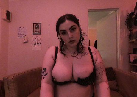 sab otuer modèle joli galeries