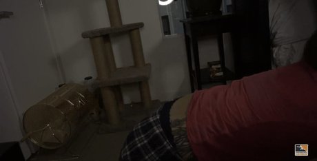 Soe Gwchwind star du porno nue galeries