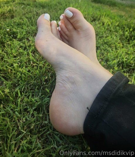 msdidikvip art modèle photos