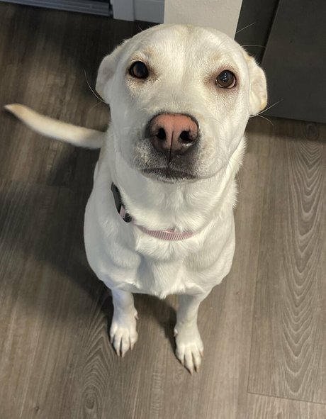 lizzysweetsofficial actrice sexy image