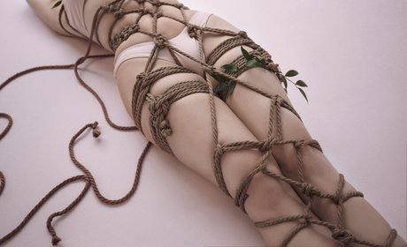 Senedy modèle de haute qualité images