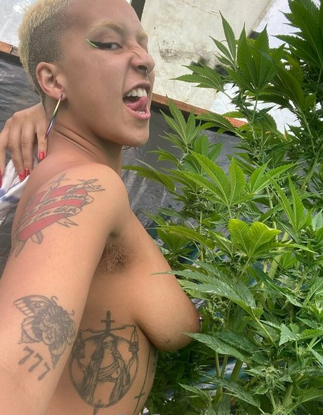 katdemonia étoile parfaite img