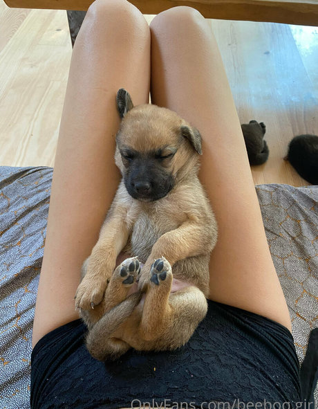 beeboo girl art étoile collection