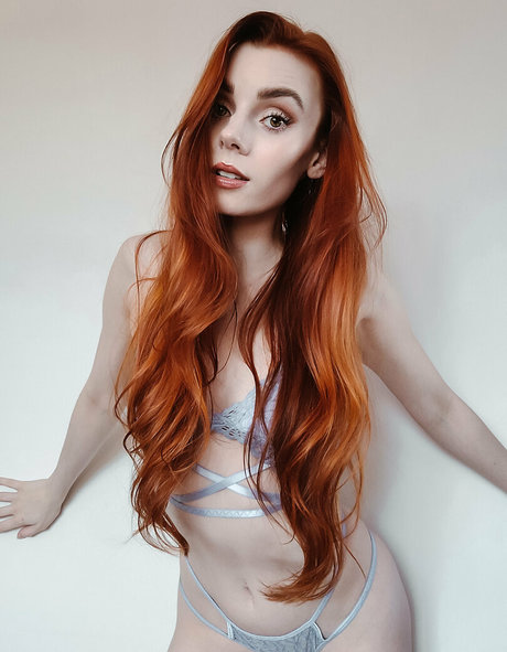 claruspolaris étoile de haute qualité galeries