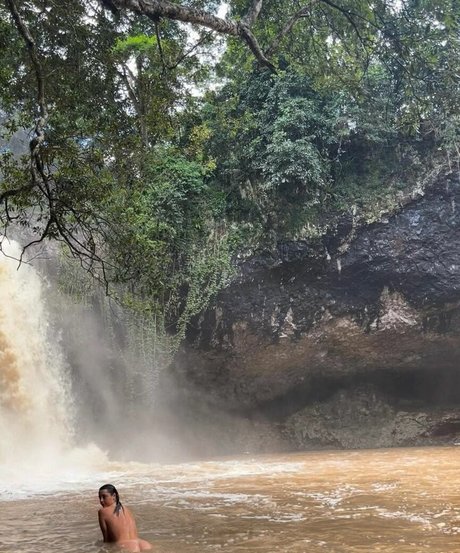 Seashark meilleure étoile image