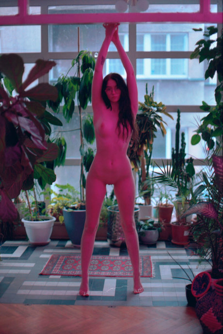 conversations cochonnes uniquement pour les fans sexy parfait images