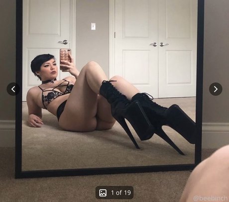 Beebinch_ Fotoaufnahmen