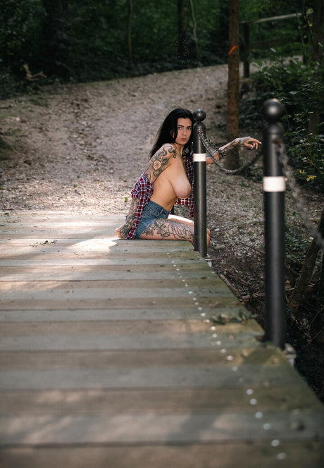 chaton courbé onlyfans assez exclusif galeries