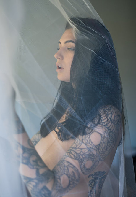 fans de célébrités uniquement bel adulte img