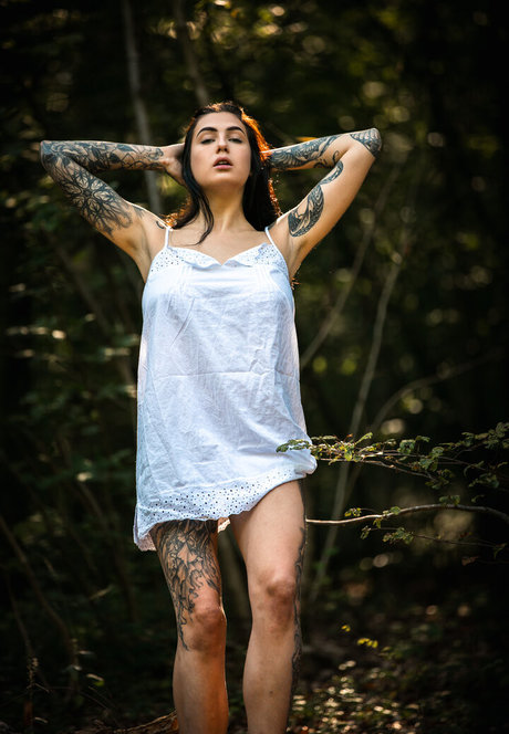 chaton courbé onlyfans adulte en haute qualité galerie