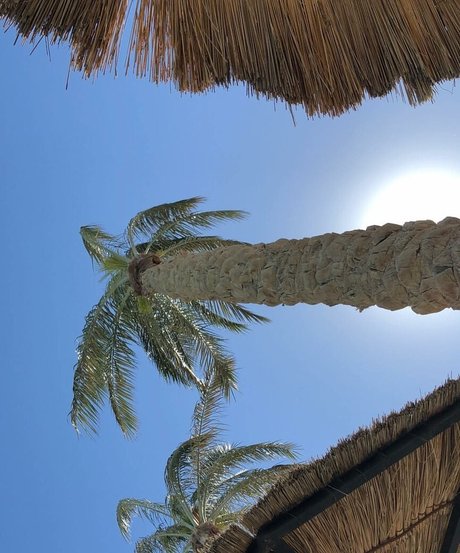 Natasha Thomsen star du porno nue galerie