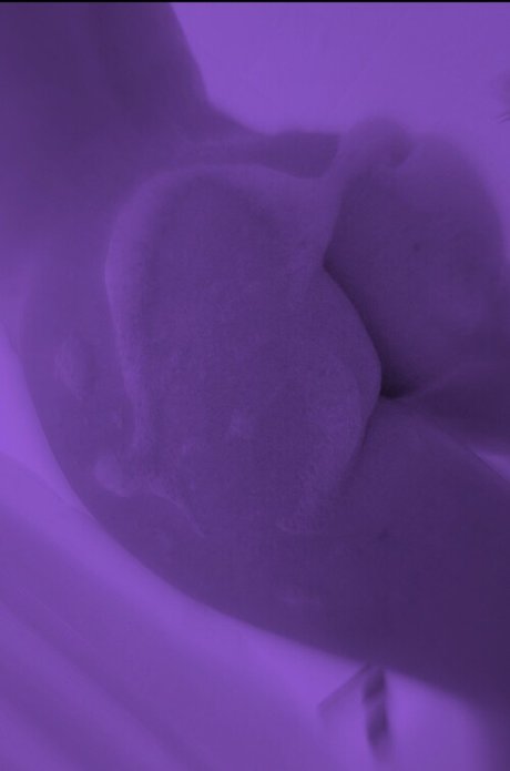 fans débène asiatique uniquement art sympa galeries