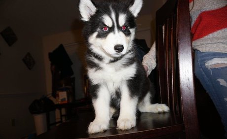 youlikewhatyousee étoile xxx images