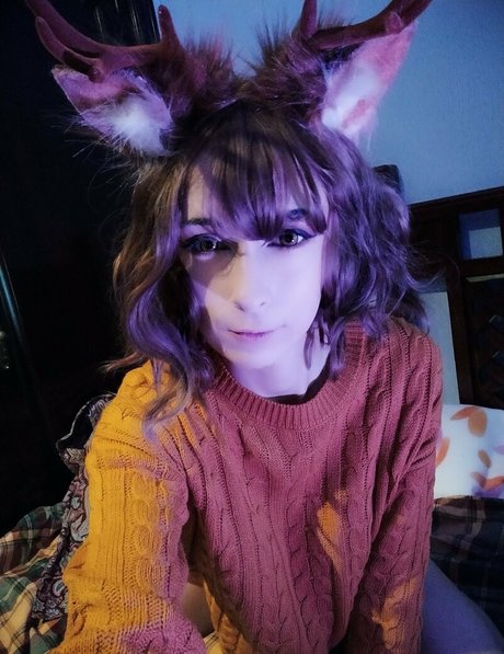 pityk cb étoile gratuite galeries