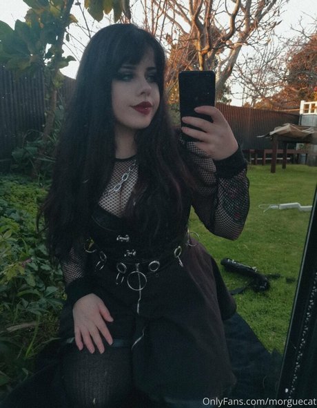 morguecat modèle exclusif archive