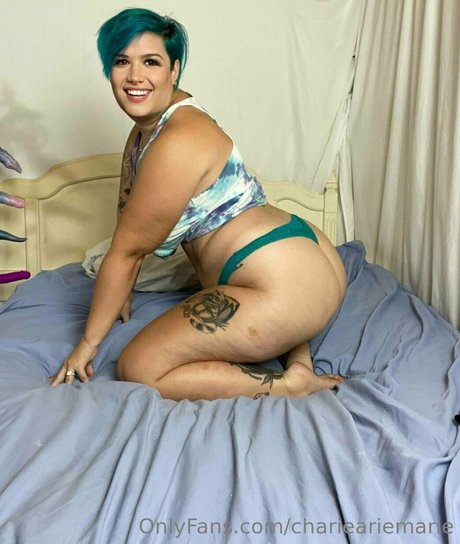 charieariemarie haut modèle archive