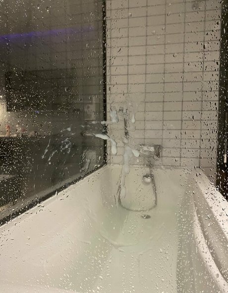 alpaca bkk étoile hd des photos