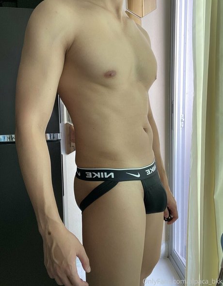 alpaca bkk étoile img