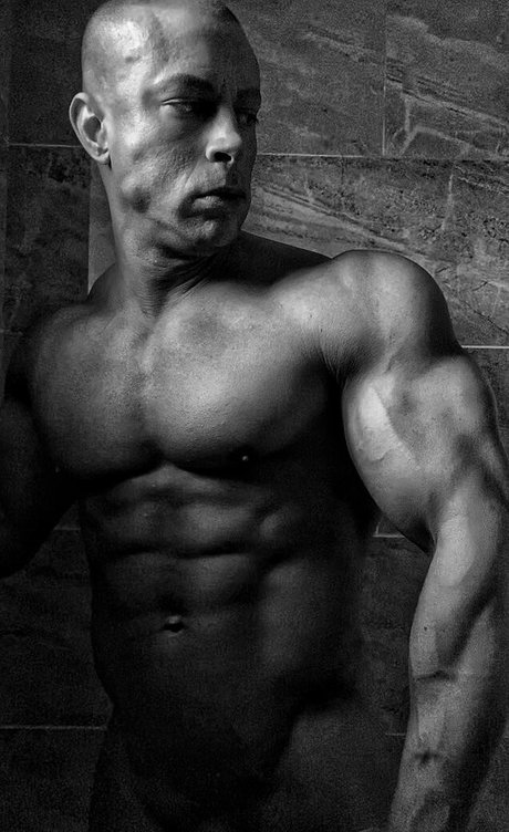 sean costin art modèle archive