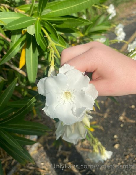 à lintérieur de onlyfans chaud meilleur photos