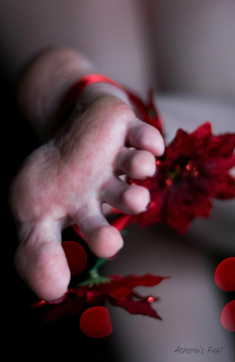 athenasf33t star exclusive archive