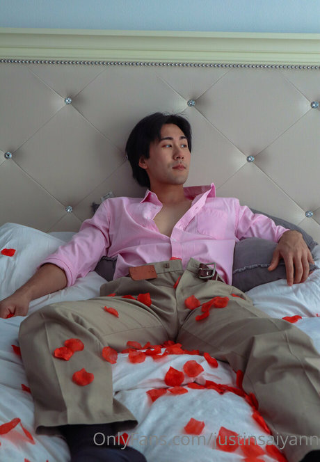 justinsaiyann nus de stars du porno galerie