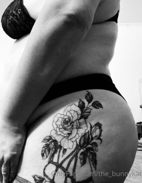 the bunnykat étoile adulte galerie