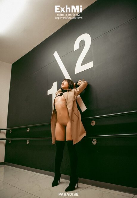 ExhMi étoile archive