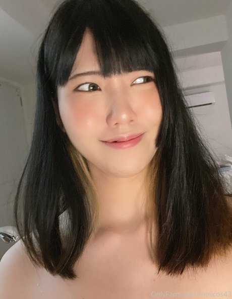 fans de chatte blanche uniquement meilleur parfait collection