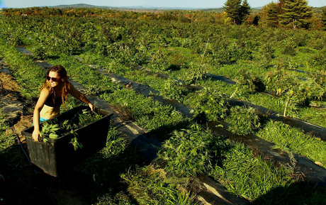 fans de cul transexuelle uniquement nus hd galeries