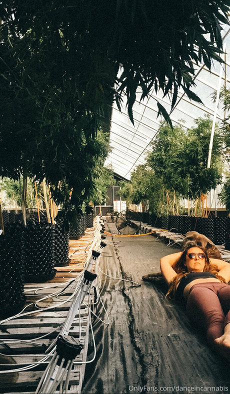 éjaculation bbc onlyfans xxx sympa photos