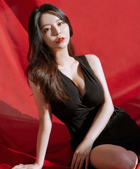 jjj8532 belle étoile collection