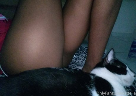 Sttella star du porno de haute qualité galerie