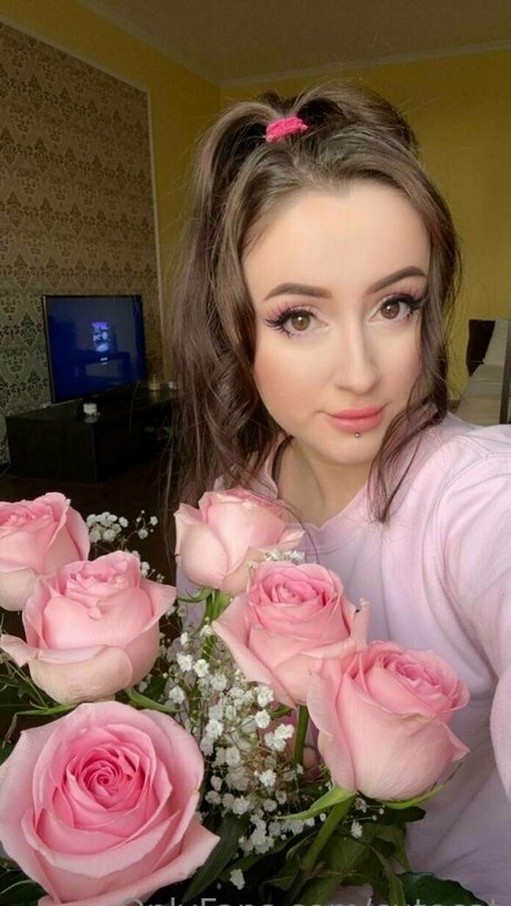 Cutecat étoile chaude collection