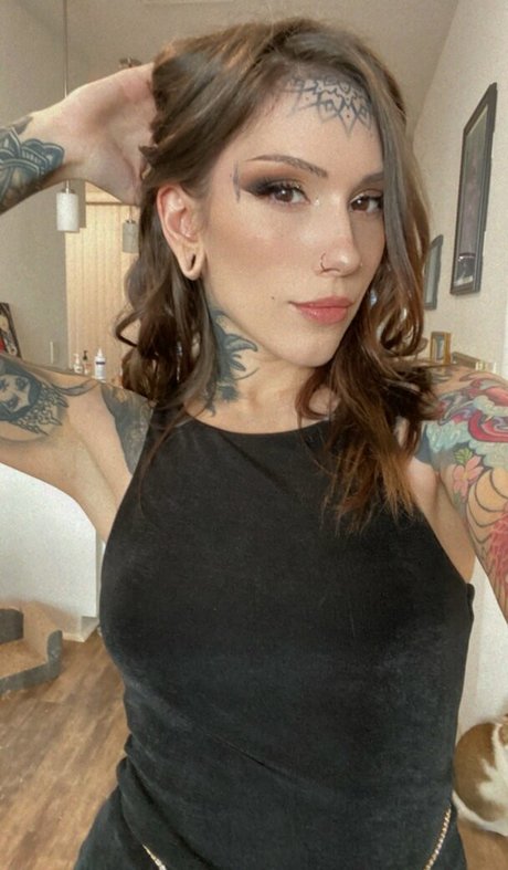 Pterodactylsftw étoile parfaite galerie