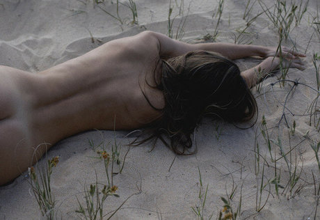 Ellie Chase étoile de haute qualité images