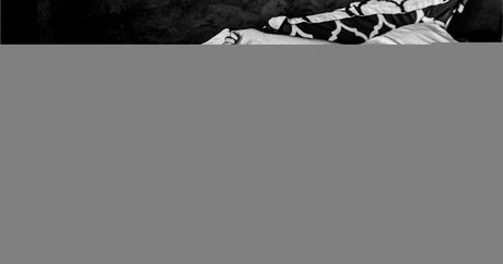 marioadrion star du porno sympa collection