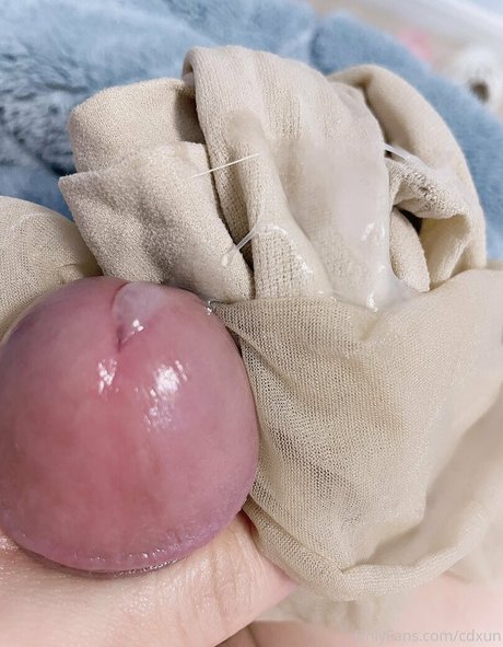 cdxun star pornographique collection