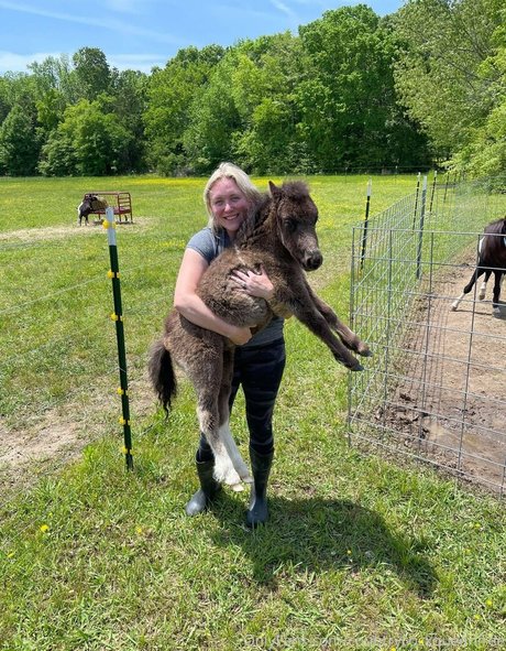 countrycockqueenfree art étoile collection