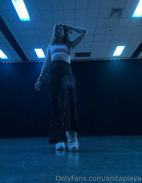 Anita Playa art star du porno images